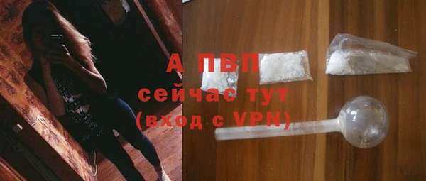 дурь Новодвинск