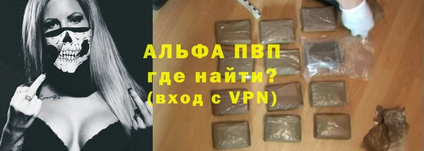 СК Новозыбков