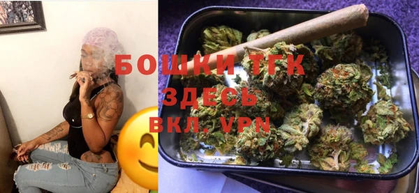 СК Новозыбков