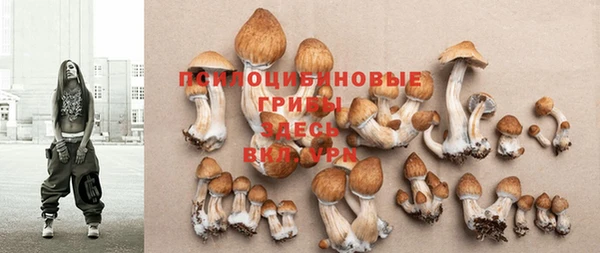 MESCALINE Новокубанск