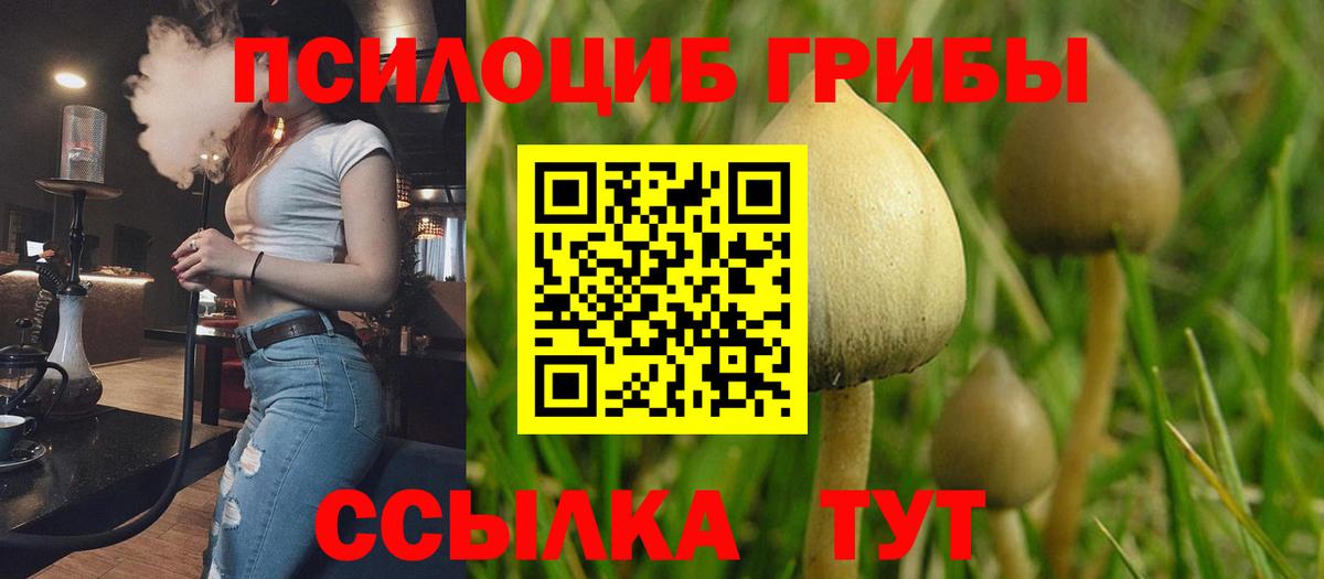 Псилоцибиновые грибы Magic Shrooms Аргун