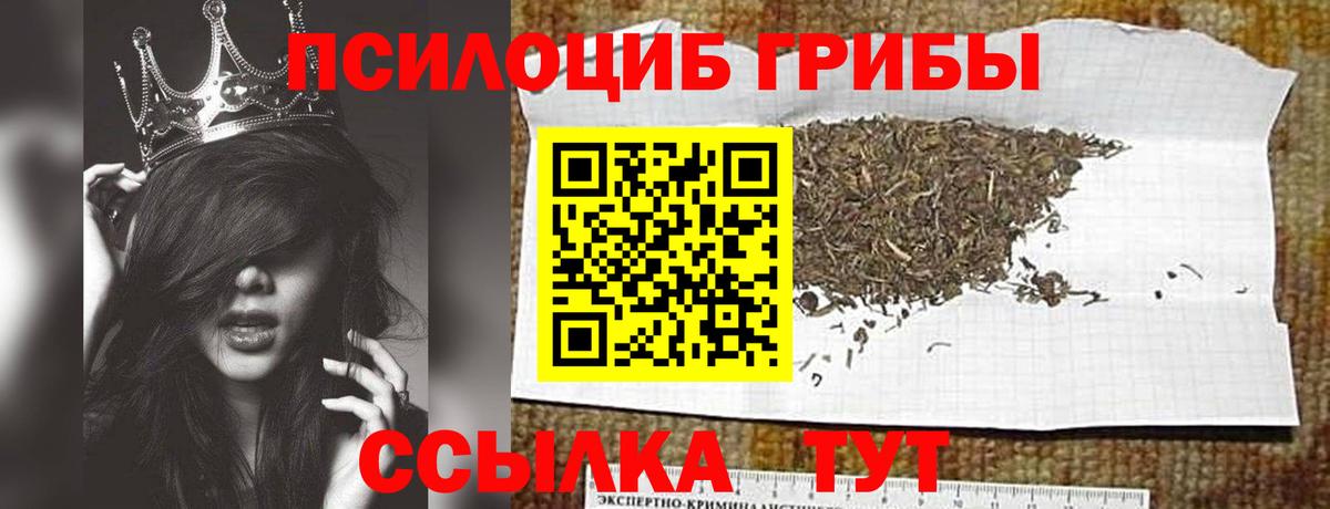Аргун  купить наркотик  Вход с VPN  Галлюциногенные грибы MAGIC MUSHROOMS  Псилоцибиновые грибы мухоморы 